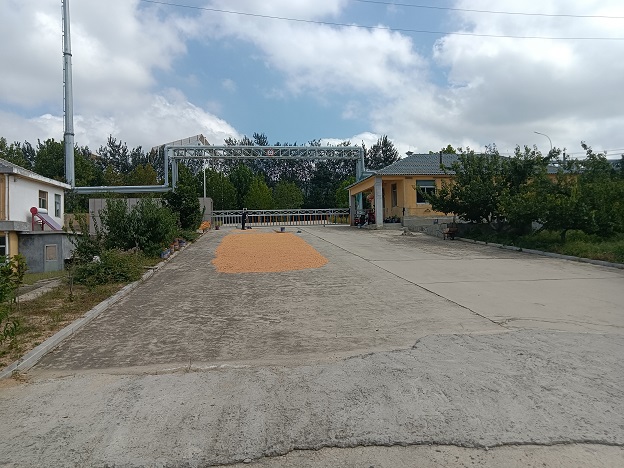 文登經(jīng)濟(jì)開發(fā)區(qū)虎山路廠房場地出租