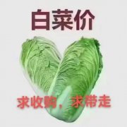 @@@26.8萬，櫻花時尚，3樓毛坯